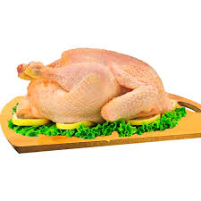 GALLINA PEQUEÑA (colorada)